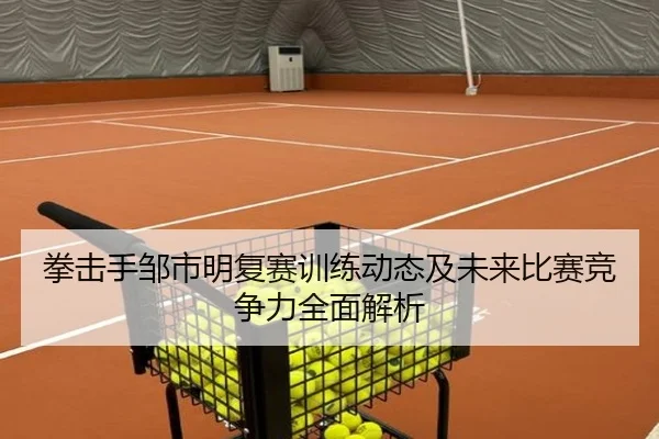 拳击手邹市明复赛训练动态及未来比赛竞争力全面解析